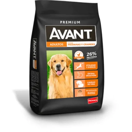 AVANT ADULTOS MEDIANOS Y GRANDES