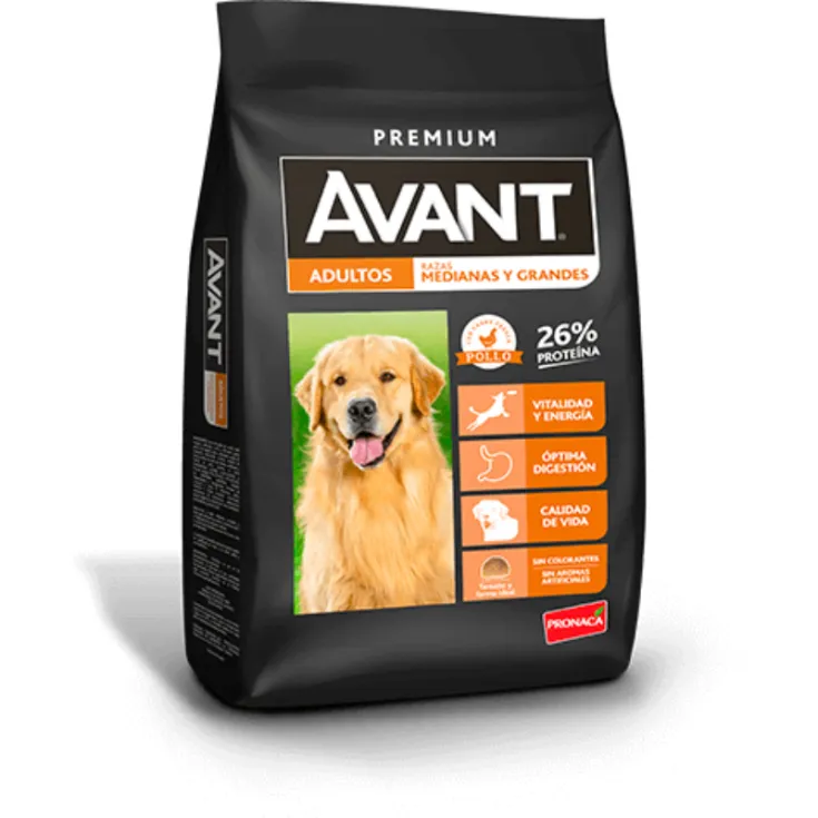 AVANT ADULTOS MEDIANOS Y GRANDES