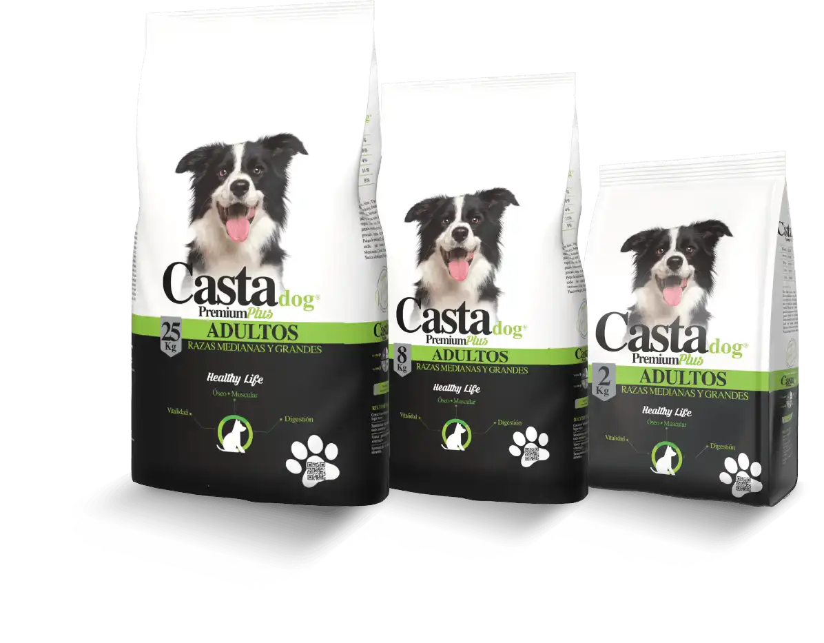 CASTA ADULTOS PREMIUM PLUS RAZAS MEDIANAS Y GRANDES
