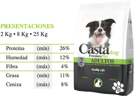 CASTA ADULTOS PREMIUM PLUS RAZAS MEDIANAS Y GRANDES - Imagen 2