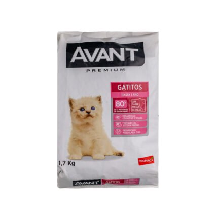 Avant Gatitos