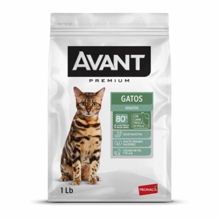 Avant Gatos Adultos