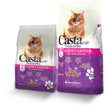 Casta Gatos y Gatitos