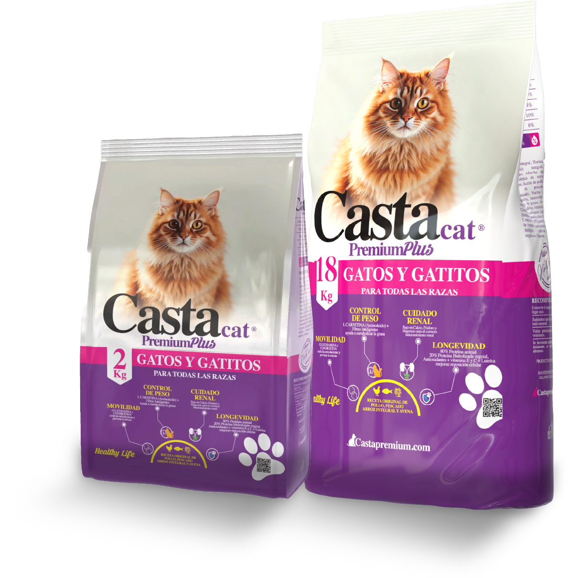 Casta Gatos y Gatitos